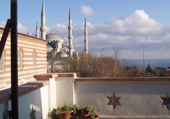 VIEW FROM TERRACE